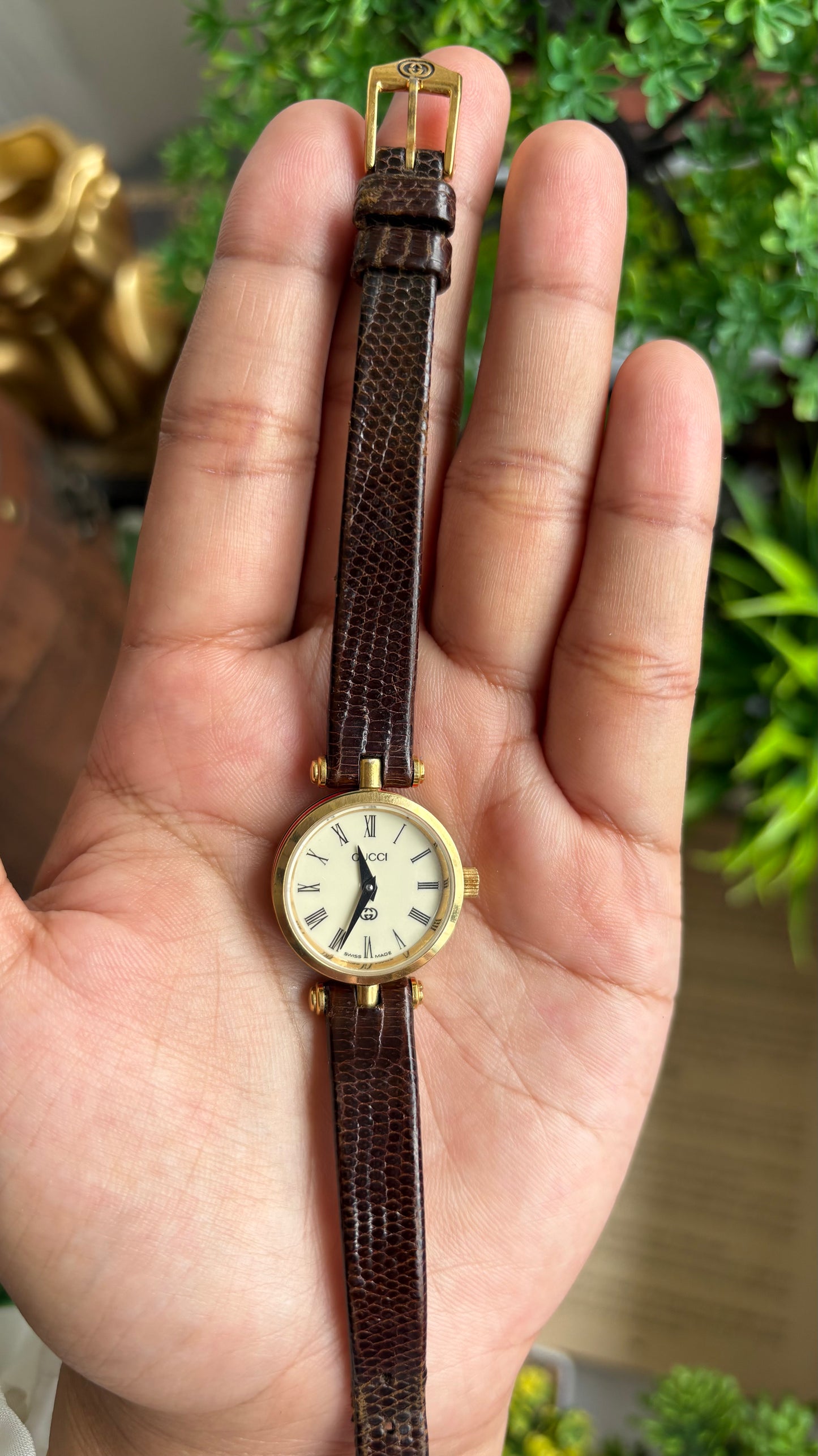 Vintage Gucci Women’s Dress Watch in Brown Leather Strap Rare Cherryline Bezel Accent in Roman Dial with Gucci Box
