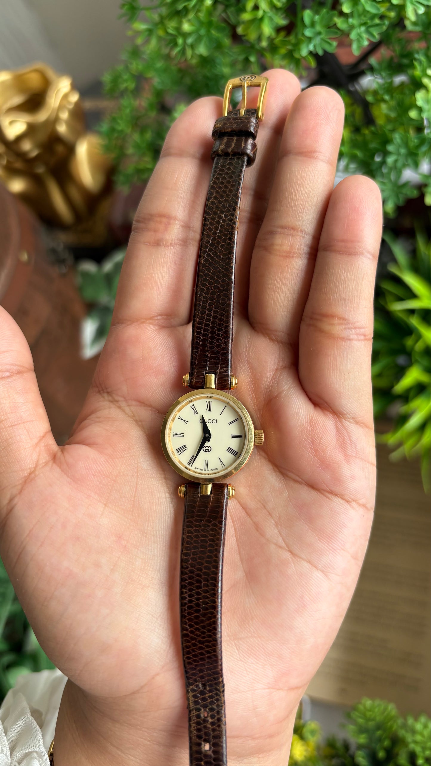Vintage Gucci Women’s Dress Watch in Brown Leather Strap Rare Cherryline Bezel Accent in Roman Dial with Gucci Box
