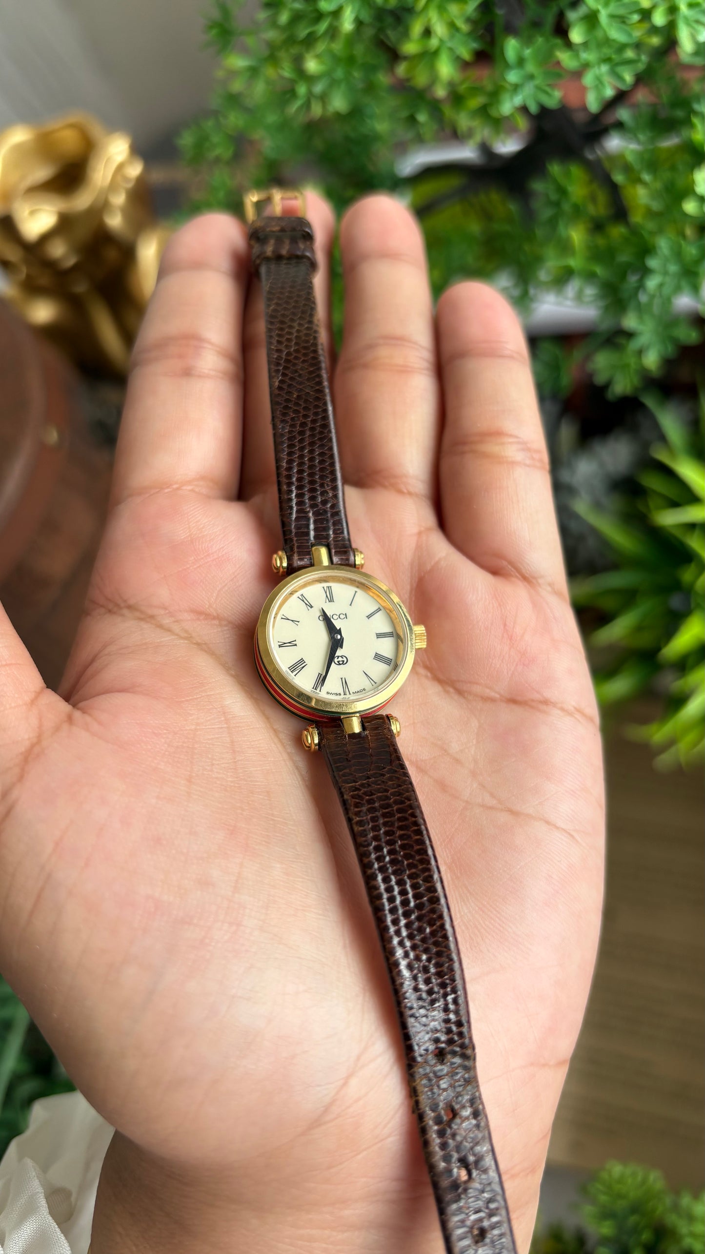 Vintage Gucci Women’s Dress Watch in Brown Leather Strap Rare Cherryline Bezel Accent in Roman Dial with Gucci Box