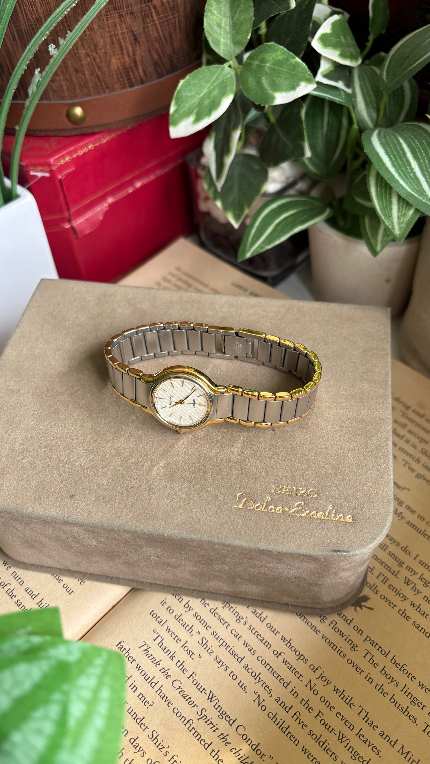 Vintage Seiko Exceline Watch in Two-Tone with Original Box