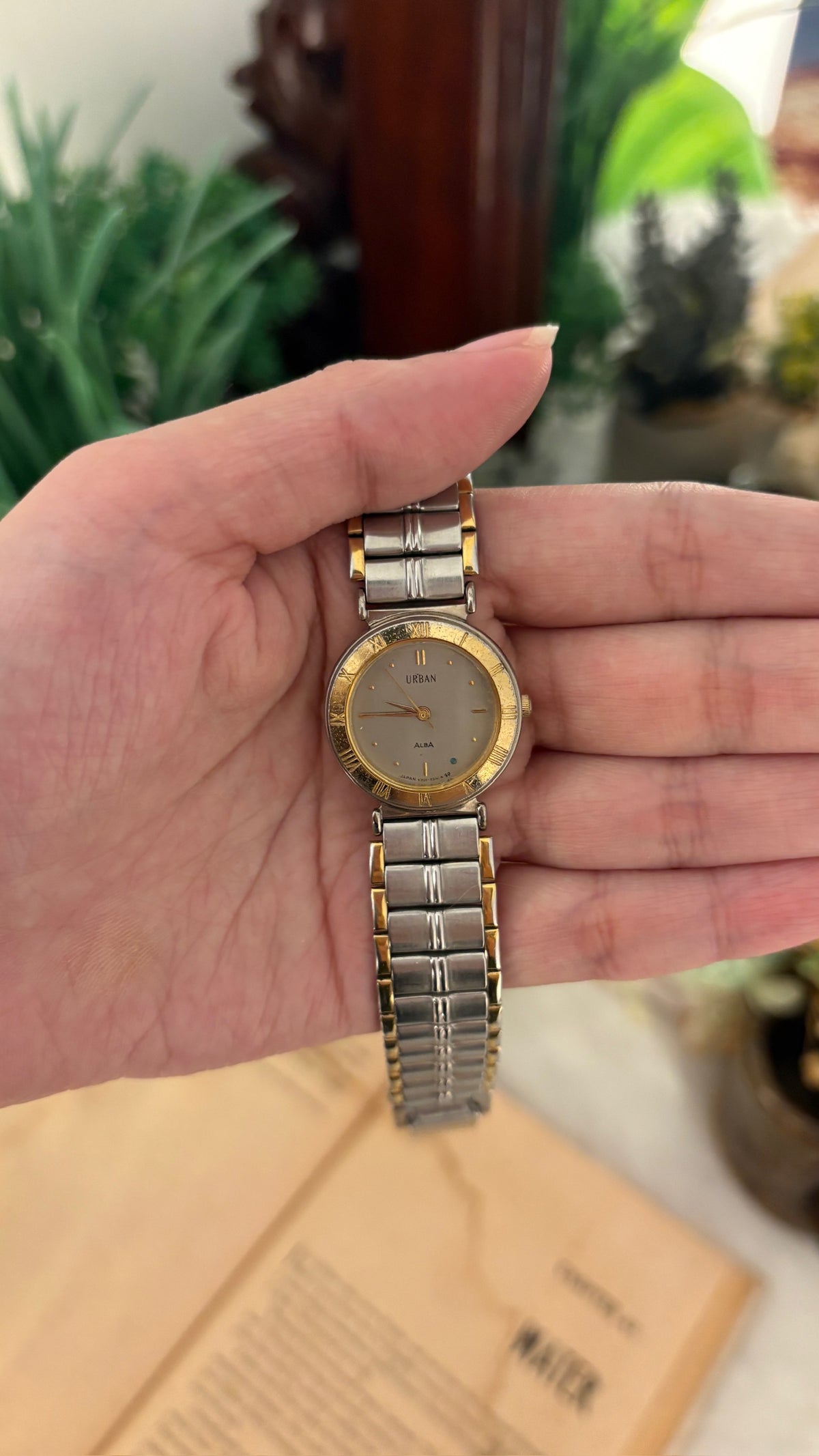 Vintage Urban Alba Seiko Watch in Two-Tone Quartz