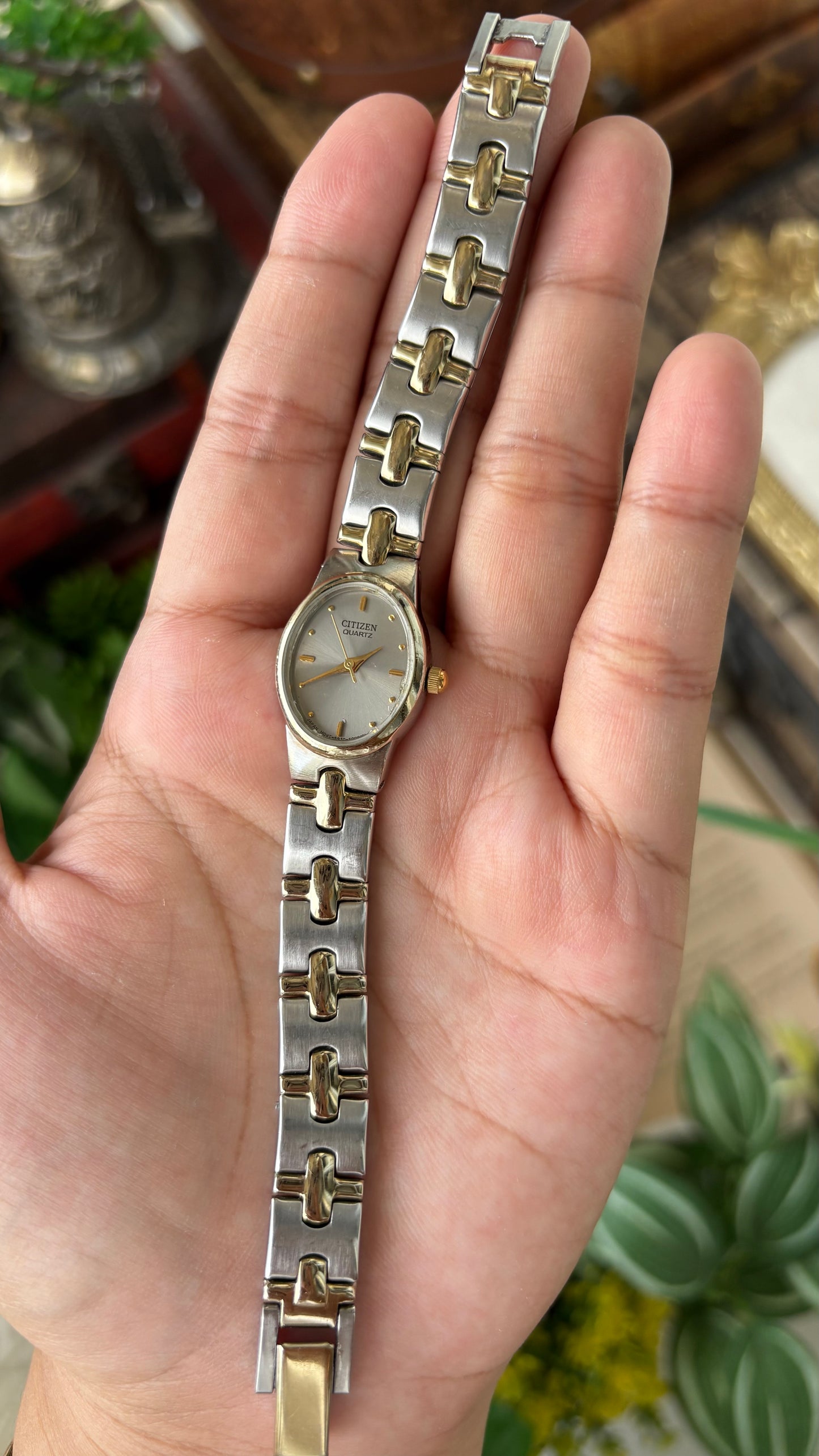 Vintage Dainty Citizen Watch in Two-tone Oval Silver Dial Quartz