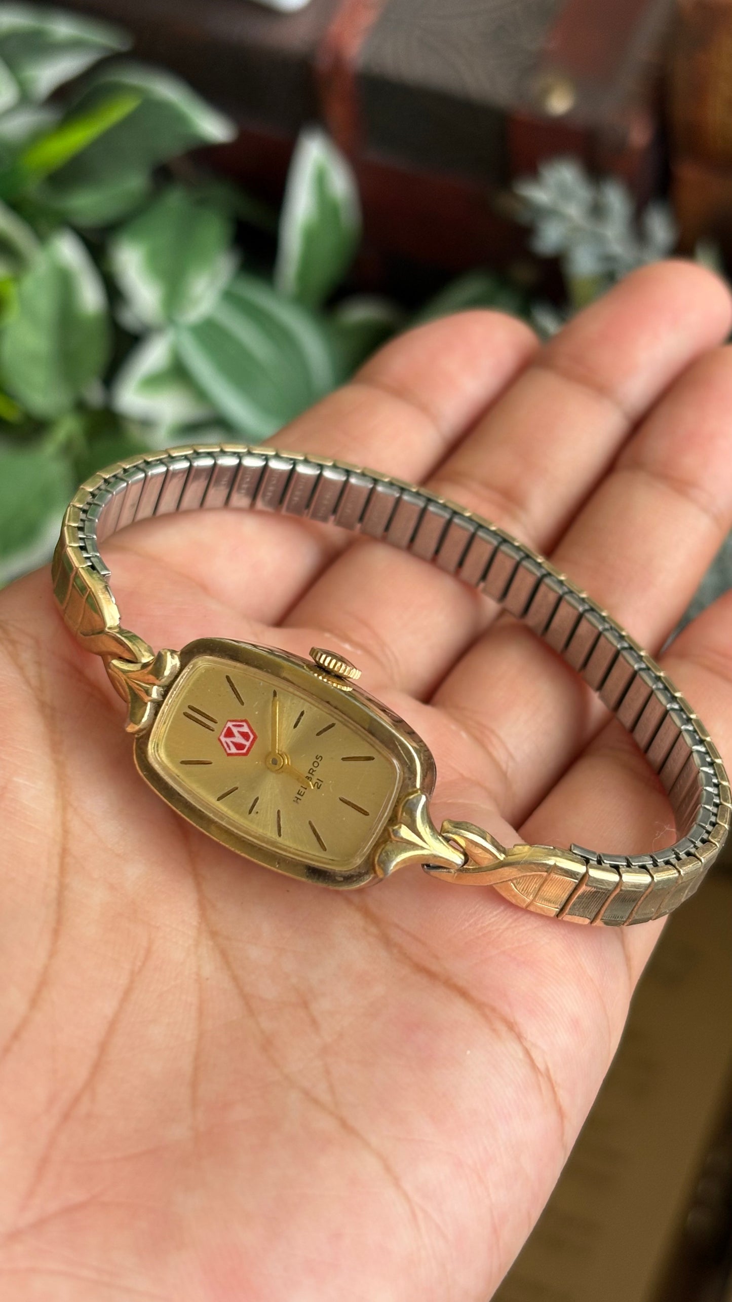 Vintage Helbros Slim Watch in Gold Tone Stretch Band
