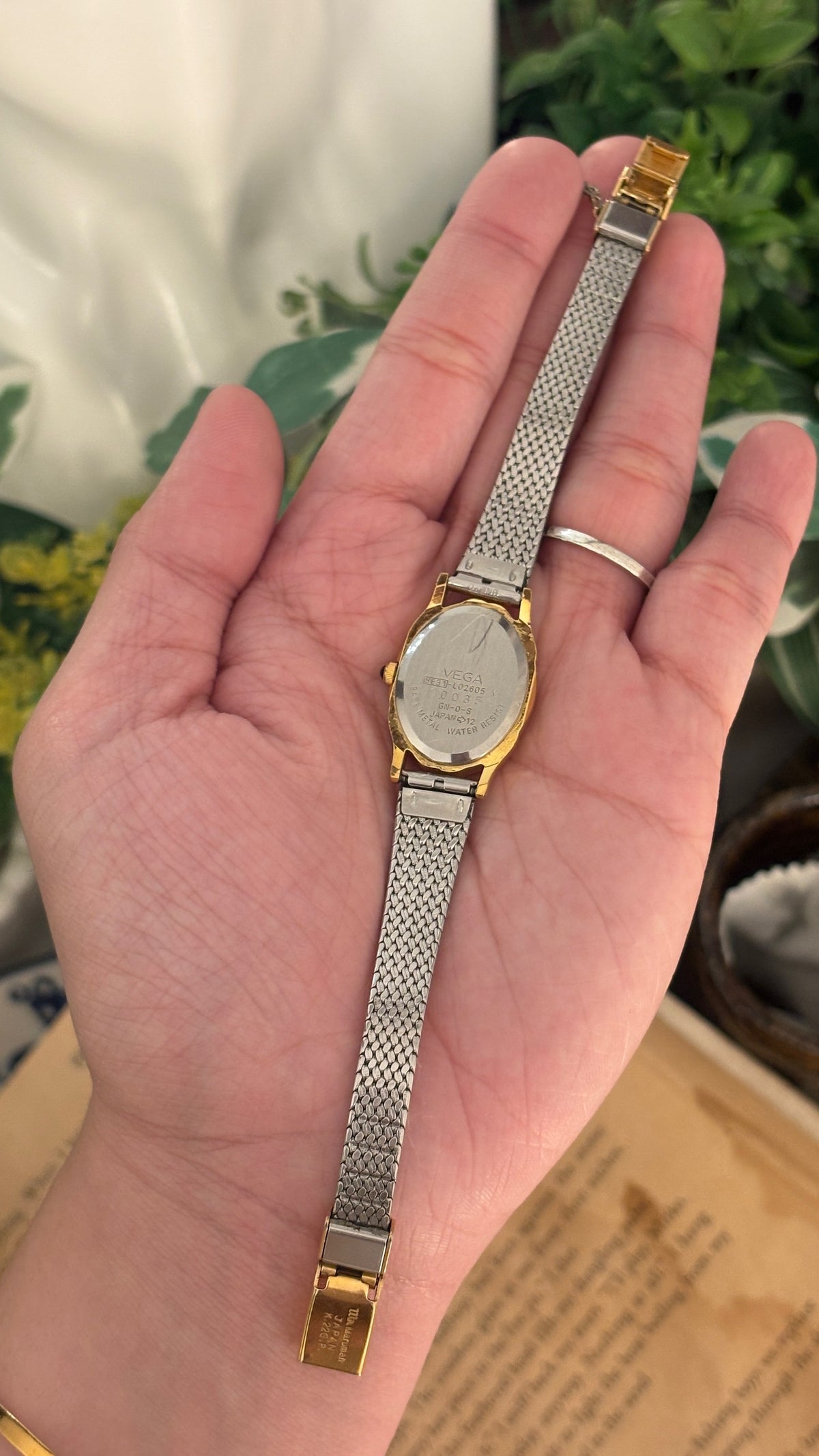 Rare Vintage Junction Citizen Oval Dial Mesh Watch in Gold Tone Quartz
