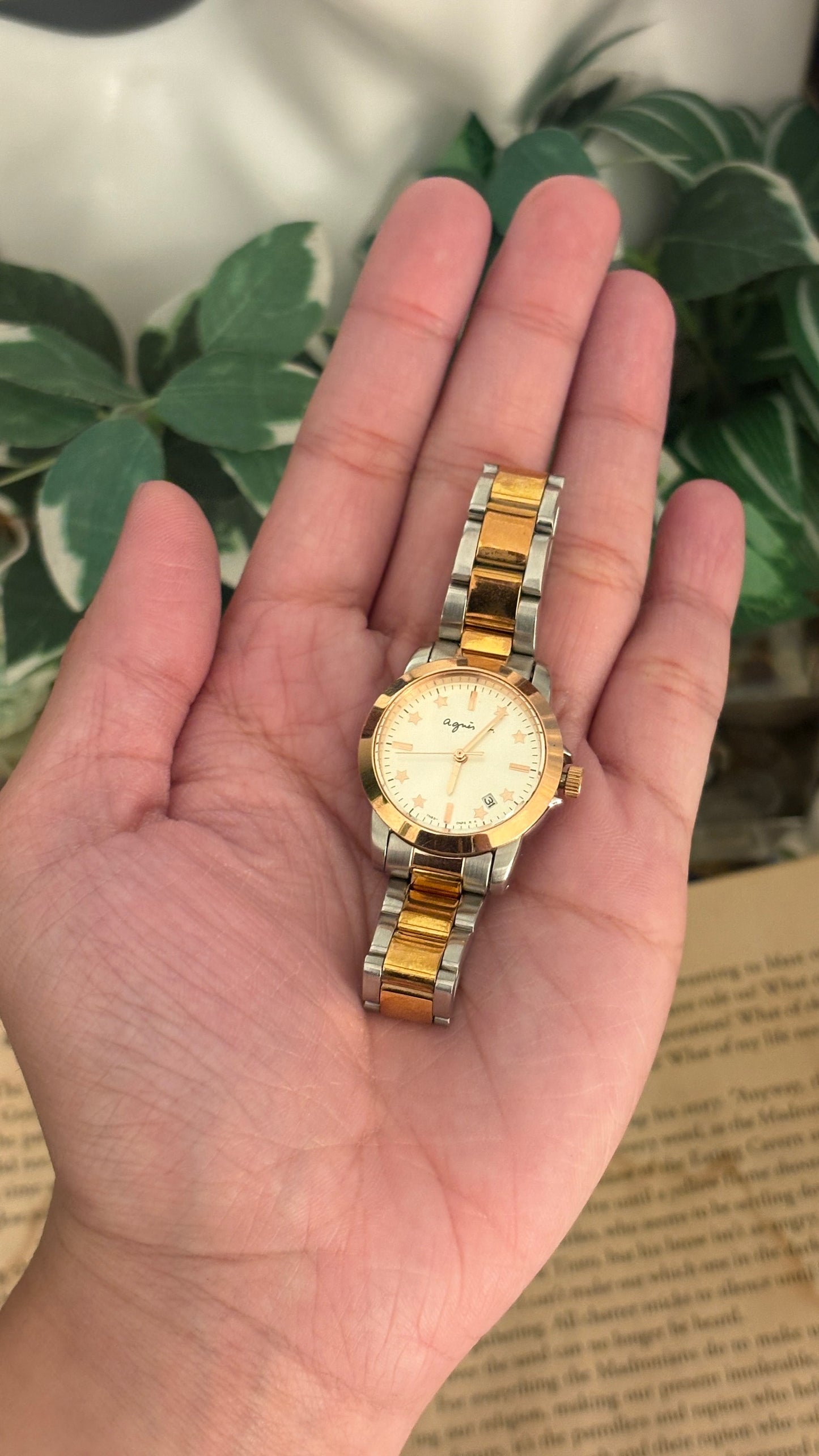 Rare Vintage Agnes B Date Window Classic Watch in Two-Tone Quartz