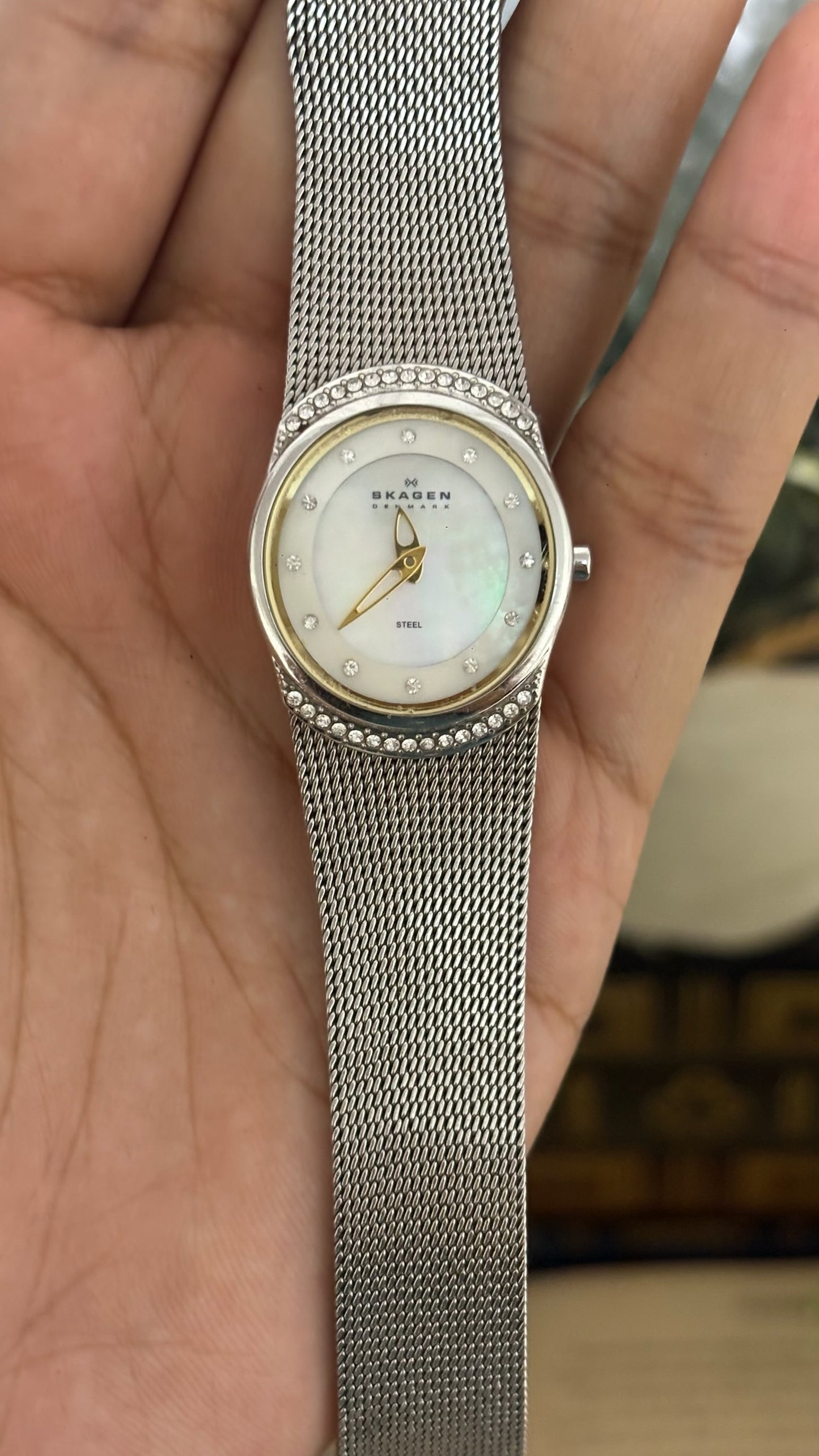 Vintage Skagen Denmark Crystal Accent Watch in Silver Tone Mesh Strap Mother of Pearl Dial Quartz