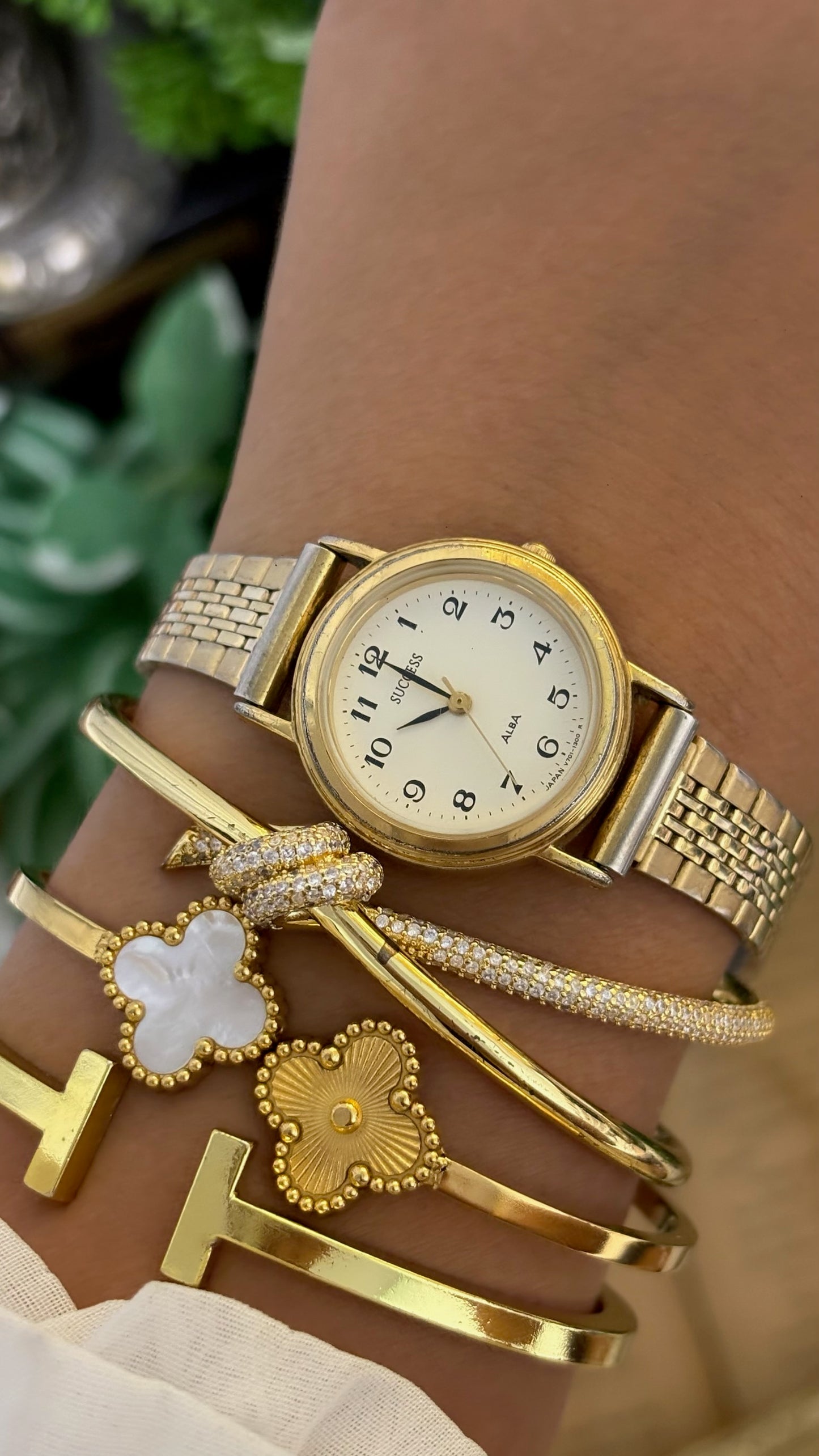 VIntage Success Classic Expandable Band Watch in Two-Tone Quartz