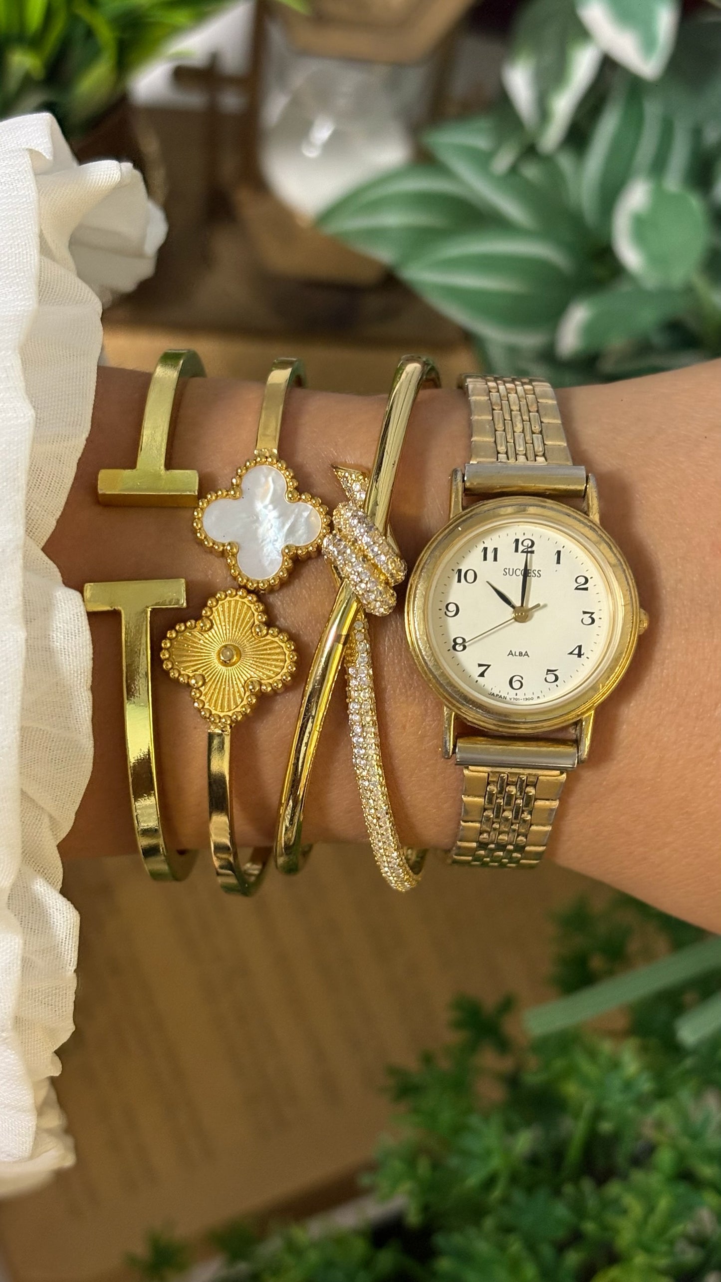 VIntage Success Classic Expandable Band Watch in Two-Tone Quartz