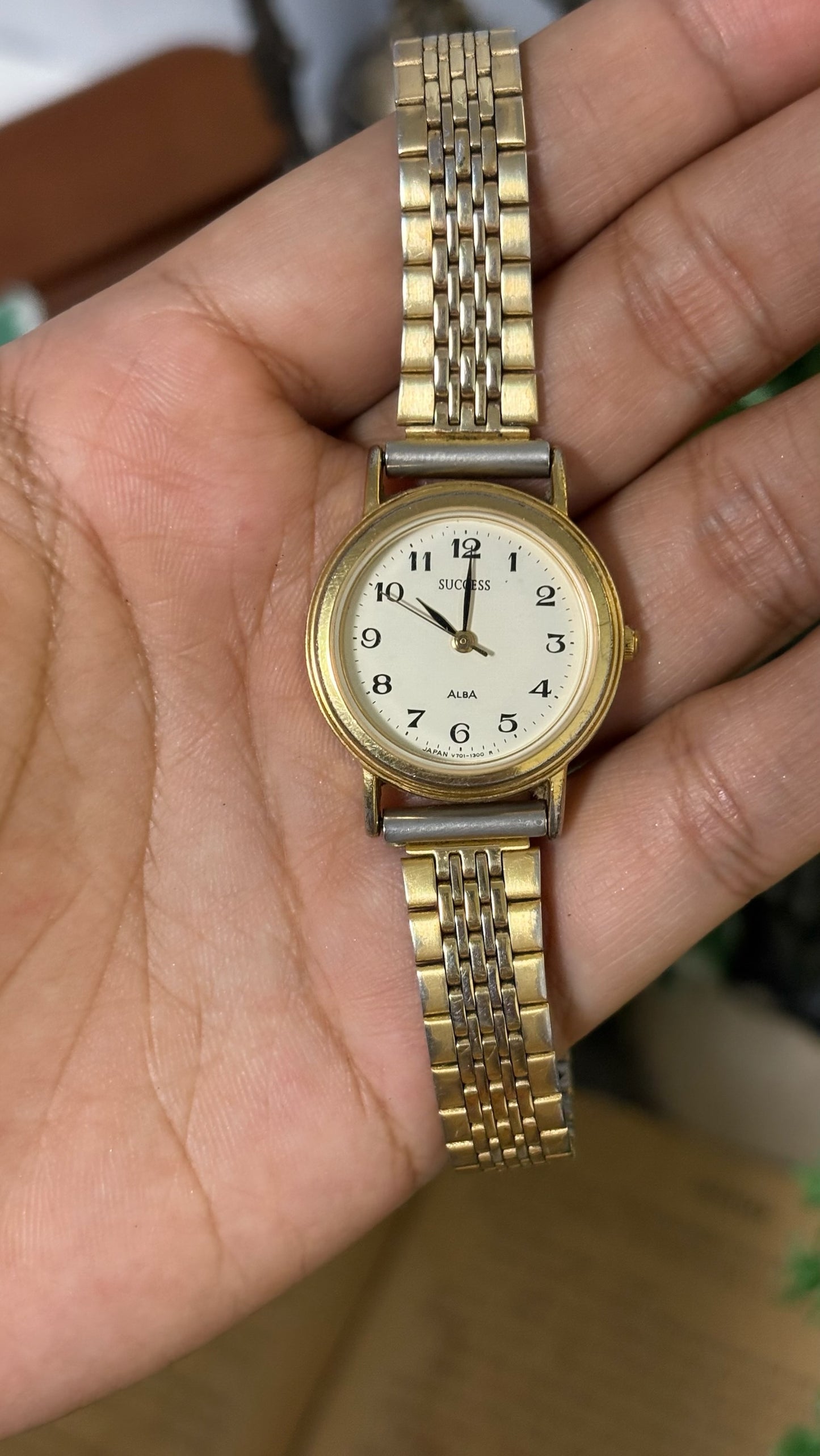 VIntage Success Classic Expandable Band Watch in Two-Tone Quartz