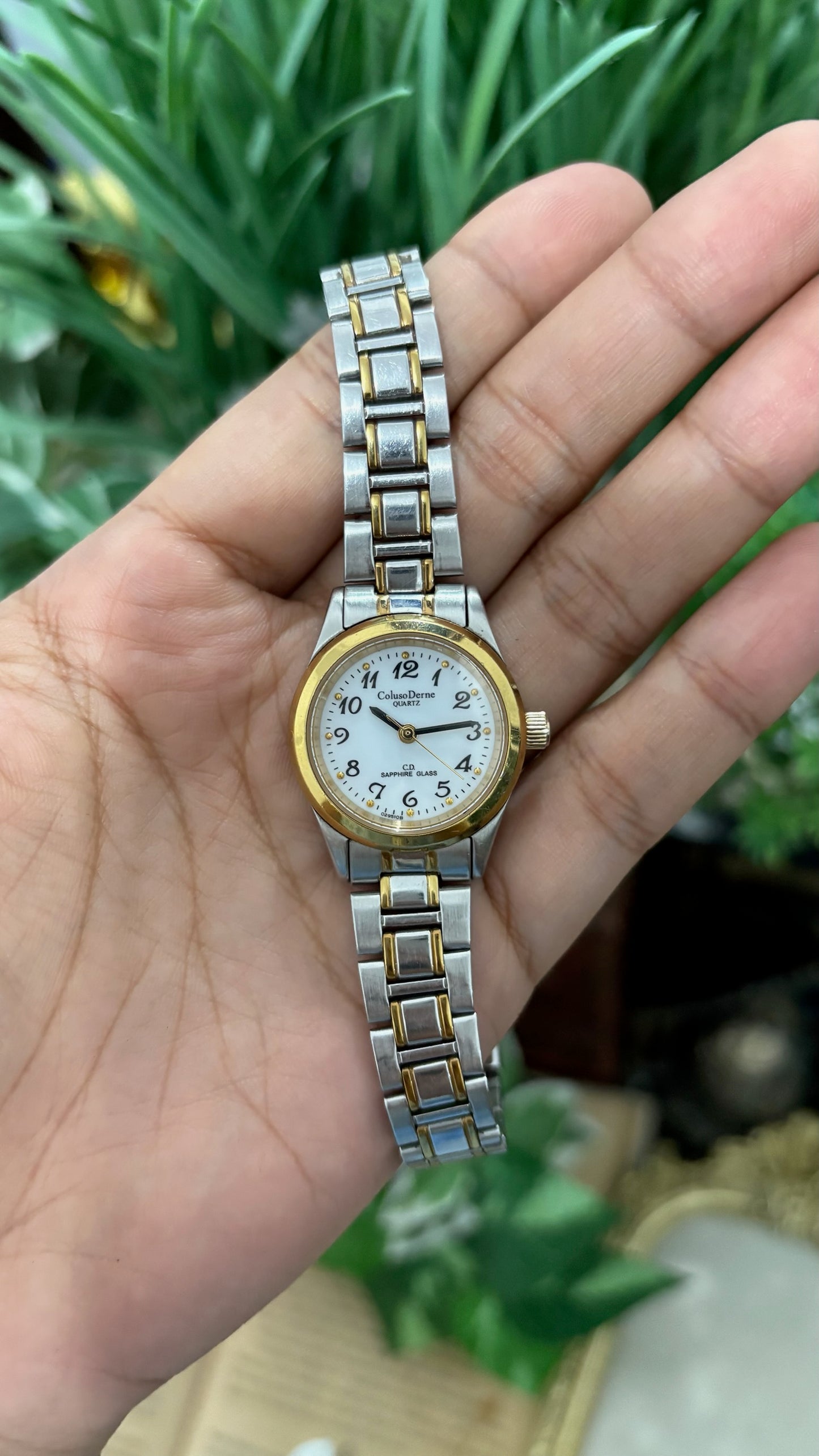 Vintage Coluso Derne Sapphire Glass Classic Watch in Two-Tone Quartz