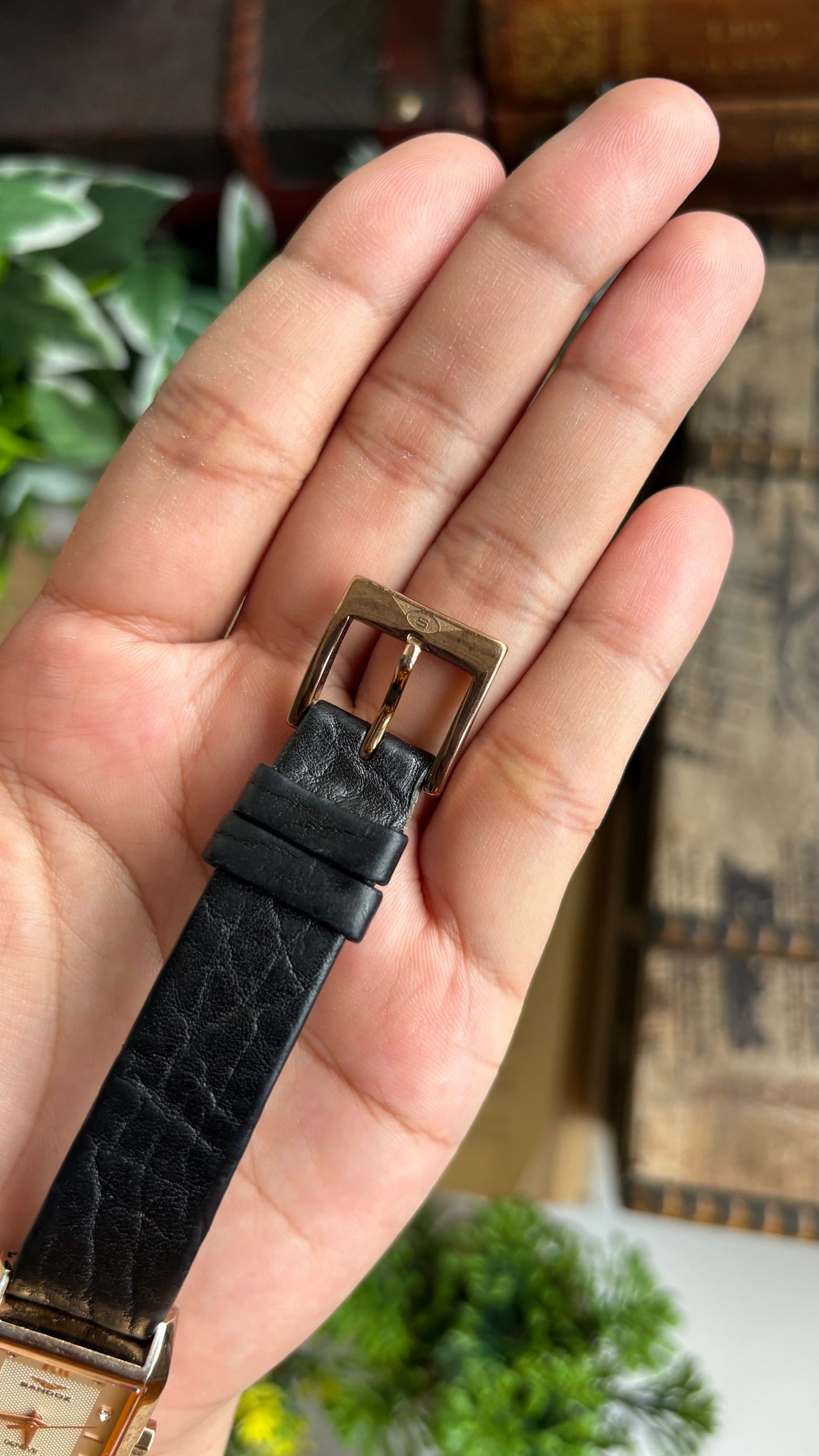 Vintage Sandoz Watch in Black Leather Strap